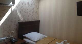 Гостиница Мираж Елшанка Стандартный двухместный номер с 2 отдельными кроватями-6